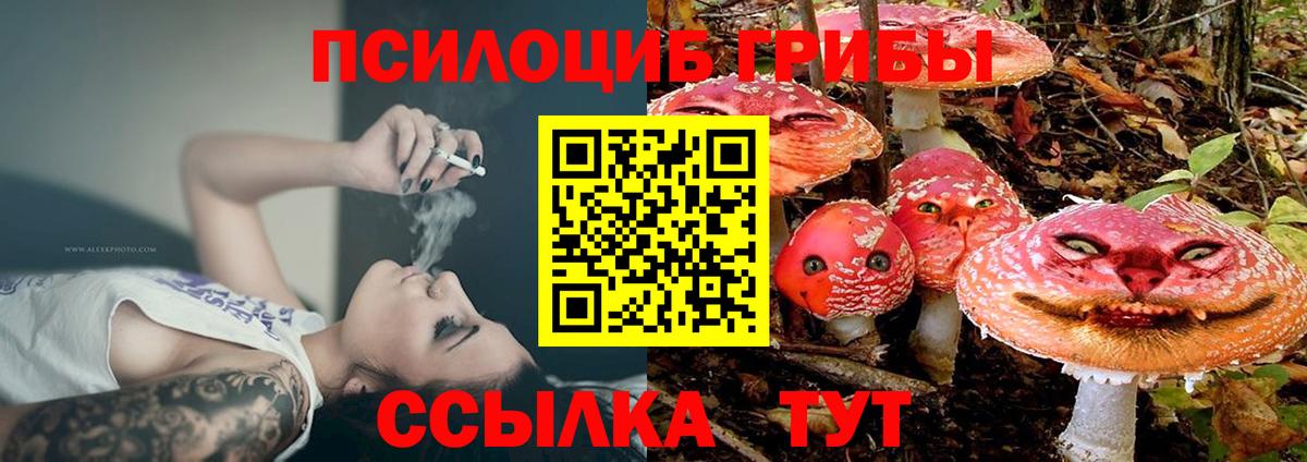 Псилоцибиновые грибы мухоморы  Вход с VPN  Чапаевск 